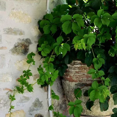 Traditional Stone House At Great Location *