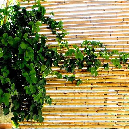 Apartment Traditional Stone House At Great Location