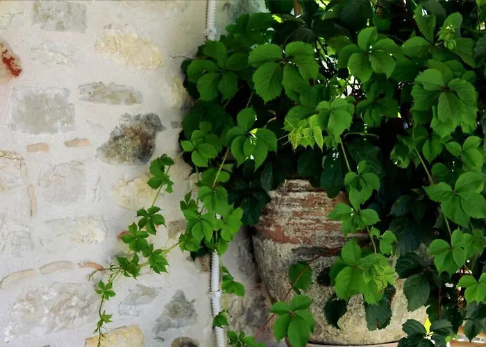 Traditional Stone House At Great Location *