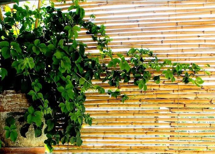 Lägenhet Traditional Stone House At Great Location